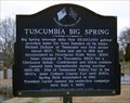 Image for Tuscumbia Big Spring - Tuscumbia, AL