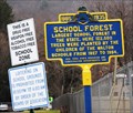 Image for School Forest - Walton, NY