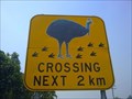 Image for Cassowary Crossing - Mission Beach, Queensland.