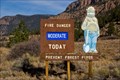 Image for Smokey Bear - Rio Grande National Forest - South Fork, CO