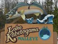 Image for Leapin' Walleye Fish Photo Op - Kabetogama MN