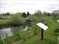 Image for Mill Creek Riparian Enhancement Area - Salem, Oregon