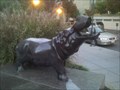 Image for GWU's River Horse--Unofficial Mascot