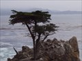 Image for The Lone Cyprus - Pebble Beach, California