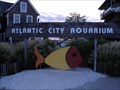 Image for Atlantic City Aquarium - Atlantic City, NJ