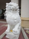 Image for Hiep Thai Lions -- Garland TX
