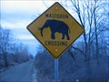 Image for Mastodon Crossing - Rochester, MI