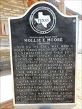 Image for Confederate Texas Poet Mollie E. Moore