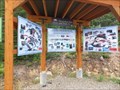 Image for Rossland Range Recreation Site - Rossland, BC