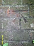 Image for Cut bench mark, Furnace Lane, Waldron