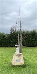 Image for Soroptimist International Centenary Tree - Garforth, UK