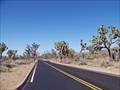 Image for Joshua Tree National Park Scenic Byway