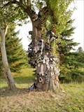 Image for Warner Road Shoe Tree - St Catharines, ON