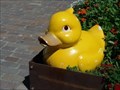Image for Yellow Rubber Duck - Überlingen, Germany, BW