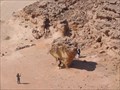 Image for Mushroom Rock, Sinai, Egypt