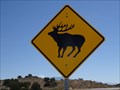Image for Elk Crossing - Santa Ana Pueblo, NM
