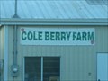 Image for Berry Picking - Cole Farm