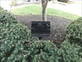 Image for Seeds of Hope: Trees of Democracy - Bel Air, MD