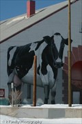 Image for Furniture Barn's Cow Mural - Flagstaff, AZ