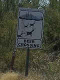 Image for Artistic Deer Crossing - Cave Creek, Arizona