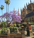 Image for St Mary's Cathedral - Sydney, NSW, Australia