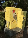 Image for Bird Box - Dublin, CA
