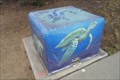 Image for Sea Turtles  -  San Diego, CA