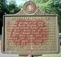 Image for Buffalo Furnace  -  # 976  -  Greenbo Lake State Park, KY