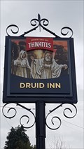 Image for Druid Inn - Gorsedd, Flintshire, Wales