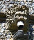 Image for Gargoyles - St Mary's Aston, Herts.