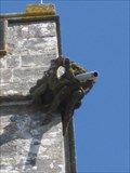 Image for St Mary's Church Gargoyles - Church Lane, Wareham, Dorset, UK