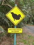 Image for Mutton Birds on Road Sign, Lord Howe Island, NSW, Australia