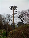 Image for Mobile Tree - A487 lay-by, Y Felinheli, Gwynedd, Wales