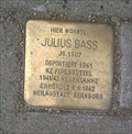 Image for Julius Bass