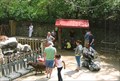 Image for Emerson Children's Zoo - St. Louis Zoo - St. Louis, MO