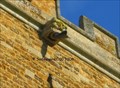 Image for St. Peter & St. Paul - Sywell, England - Gargoyle