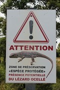Image for Lizards Crossing - Boulouris-sur-Mer, France