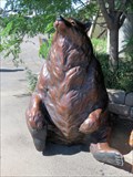 Image for Black Bear, The Wild Animal Sanctuary - Keenesburg, CO