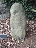 Image for The Devil's Stone - Newington, Kent
