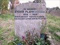 Image for Sylvia Plath - Heptonstall, England
