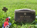 Image for SGT Amos Weaver - Gaines, MI