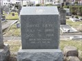 Image for David Levi - Beth Israel Cemetery, Houston, TX