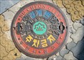 Image for Colorful Decorated Manhole Cover  -  Bucheon, Korea