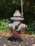 Image for State Trooper Fire Hydrant - Cumberland, Rhode Island