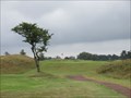 Image for Ashludie Course - Monifieth Golf Links, Angus.
