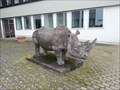 Image for Rhino - Nagold, Germany, BW