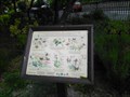 Image for Butterfly Garden - Old Colwyn, Wales, UK