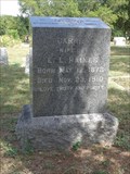 Image for Carrie Raines - Mt. Zion Cemetery - Midlothian, TX