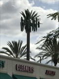 Image for Palm Tree Tower - Covina, CA