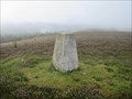 Image for O.S. Triangulation Pillar - Hare Cairn, Angus.